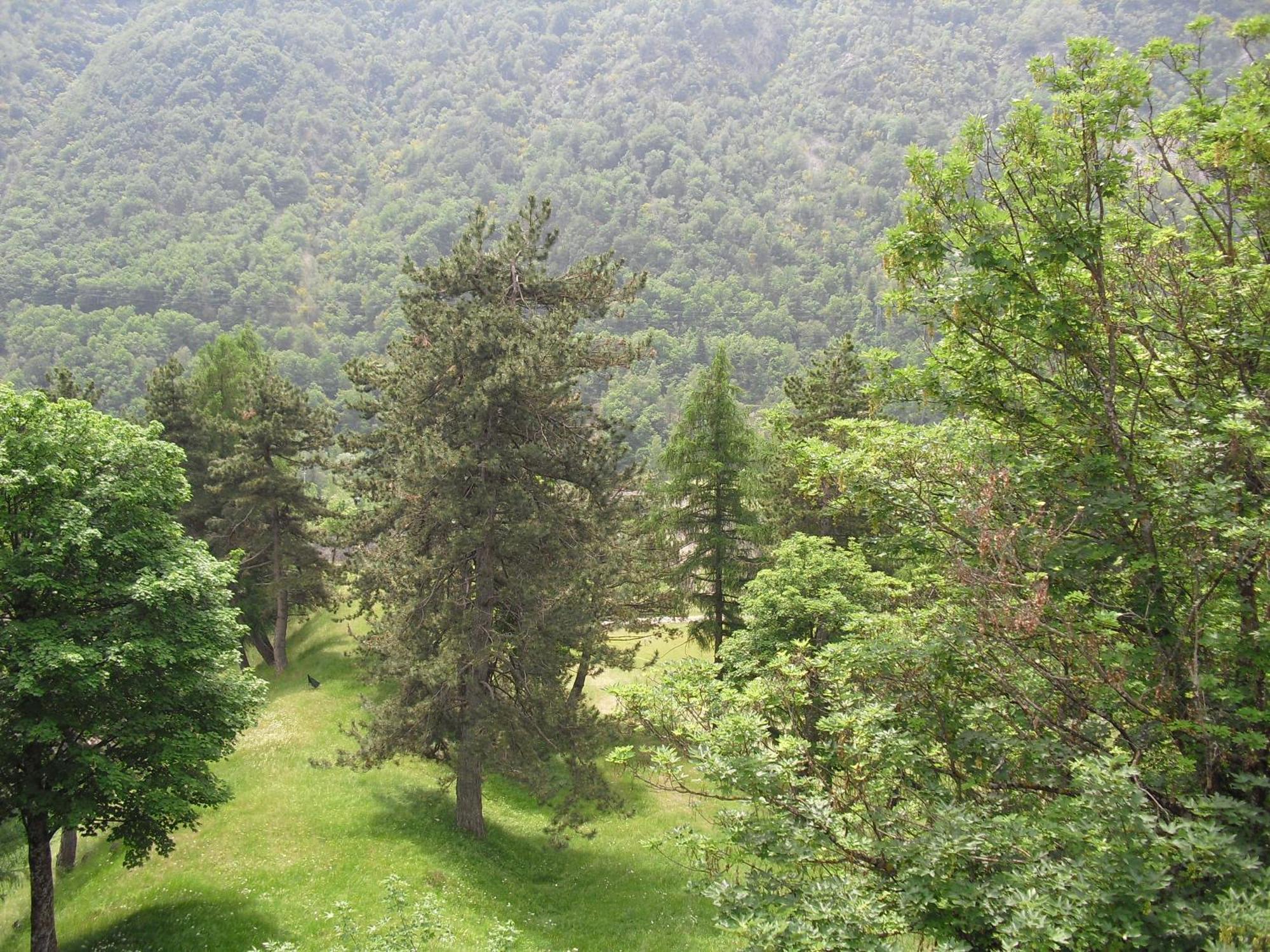 Chalet Monte Nebius Vinadio Bagian luar foto
