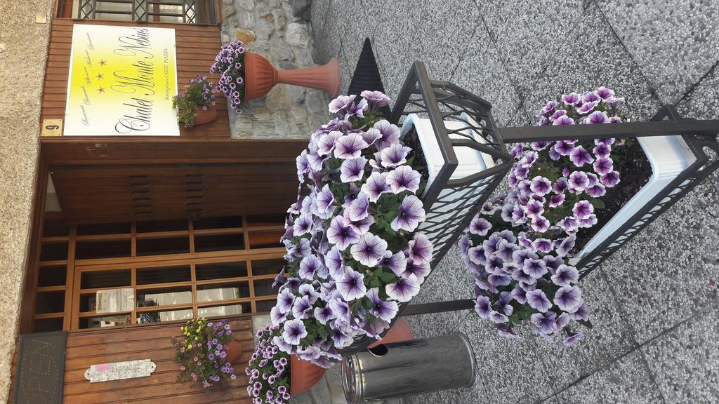 Chalet Monte Nebius Vinadio Bagian luar foto
