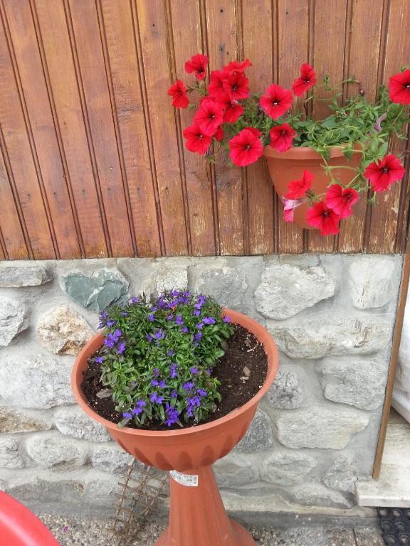 Chalet Monte Nebius Vinadio Bagian luar foto